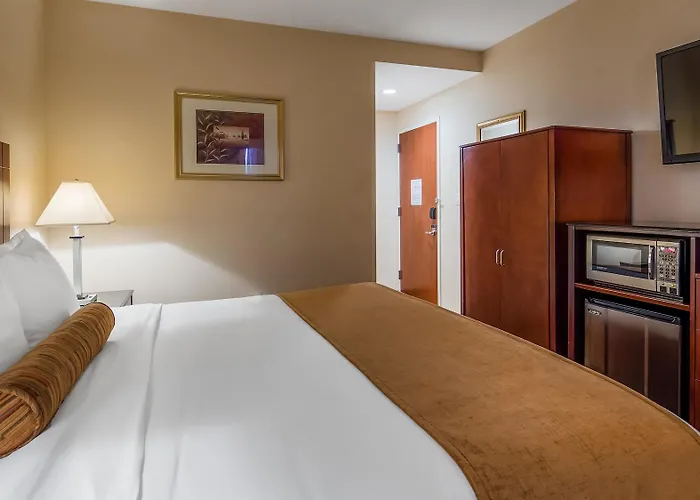 Best Western PLUS Arena Hotel